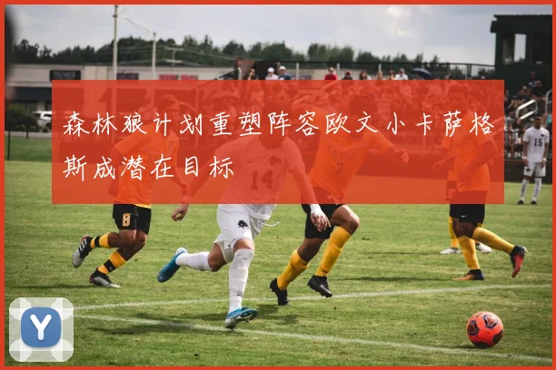 森林狼计划重塑阵容欧文小卡萨格斯成潜在目标